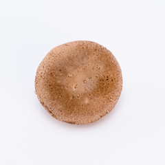 brown mushroom on white background