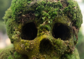 Fake human skull covered with moss and grass