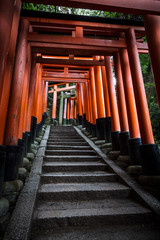 Canvas Print - Fushimi Inari Shrine Kyoto Japan