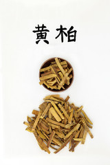 Poster - Amur cork tree bark herb used in chinese herbal medicine, has anti bacterial, anti microbial & anti inflammatory properties. Calligraphy script, translation reads as amur cork tree. Huang bai. 