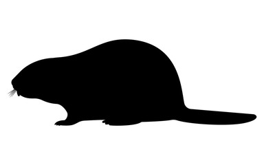 Wall Mural - Vector illustration black silhouette of a beaver