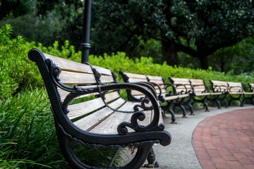 Line of park benches