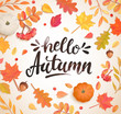 © tandav - Hello Autumn banner in frame of colorful autumn leaves, rowan berries,acorns, pumpkin for fall season flyers,presentations, reports promotion,web and leaflet, card, poster.Top view. Vector.