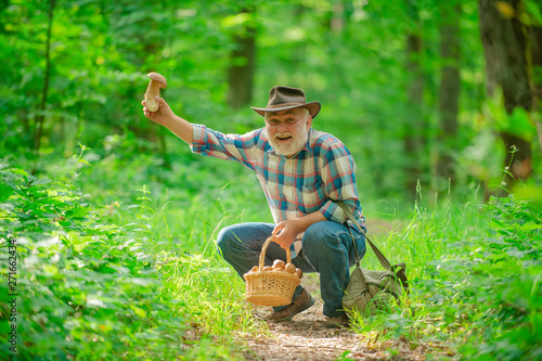 Fotomural Senior picking wild berries and mushrooms in national park forest