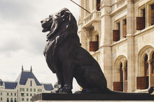 Lion Statues, Parliament In Budapest, Hungary