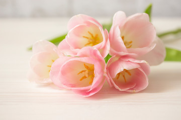 Wall Mural - bouquet of gently pink tulips on white wooden table. Thin petals of tulip flowers with stamens and peaches, group of pink flowers, postcard background close-up