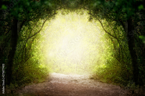 Fotografía Fantasy green road to magic bright fairy tale forest.