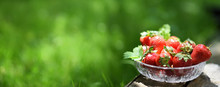 Strawberries In Crystal Bowl, Background Banner, Green Grass, Sunny Day