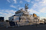 Fototapeta Kwiaty - big ship