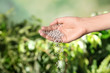 Woman pouring fertilizer on blurred background, closeup with space for text. Gardening time
