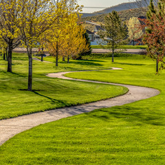 Wall Mural - Square Pathway winding through a terrain with rich green grasses and young trees