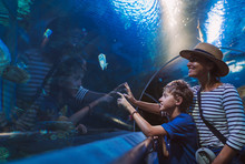 Mother And Son Walking In Indoor Huge Aquarium Tunnel, Enjoying A Underwater Sea Inhabitants, Showing An Interesting To Each Other.