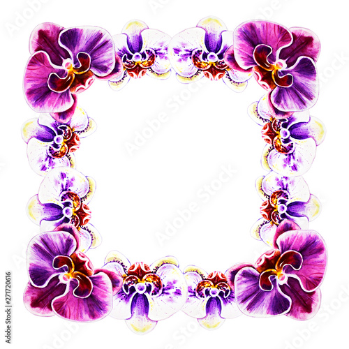 Beautiful frame from orchid flowers. Watercolor painting. Exotic plant. Flora...