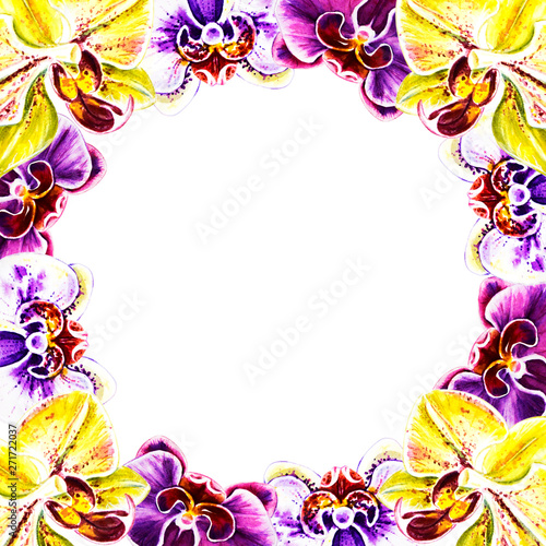 Beautiful frame from orchid flowers. Watercolor painting. Exotic plant. Flora...