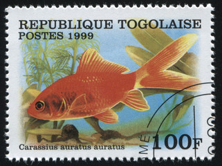 Sticker - fish under water