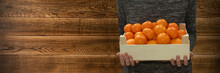 Farmer Holding Fresh Tangerines Or Mandarins In Wooden Box