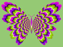 Green And Purple Butterfly. Optical Expansion Illusion.