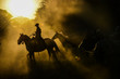 silueta de jinete y tropilla entre el polvo levantado por los caballos