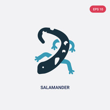 Two Color Salamander Vector Icon From Animals Concept. Isolated Blue Salamander Vector Sign Symbol Can Be Use For Web, Mobile And Logo. Eps 10