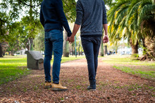 Portrait Without Head Of Young Gay Couple Holding Hands And Walking In The Park