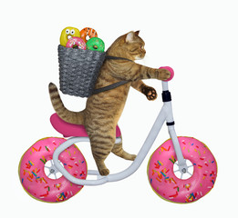 Wall Mural - The cat with a basket of doughnuts is riding the bicycle. The wheels look like a big donuts. White background. Isolated.