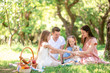 © travnikovstudio - Happy family on a picnic in the park on a sunny day