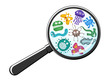 © Azat Valeev - Various microorganisms virus vector cartoon bacteria germ emoticon character set through magnifying glass. Bacterial ilness infection microbiology illustration. Microbe organism emotions isolated