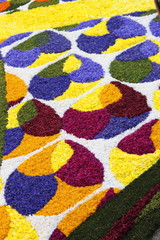 Multicolored floral carpet