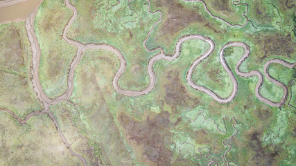 Wall Mural - aerial view of serpentine marsh