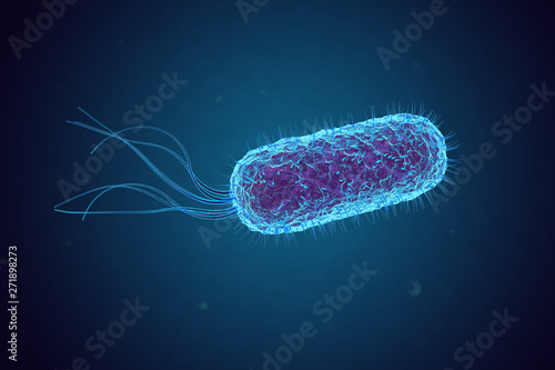 Escherichia Coli E Coli Or Bacteria Under Microscope Buy