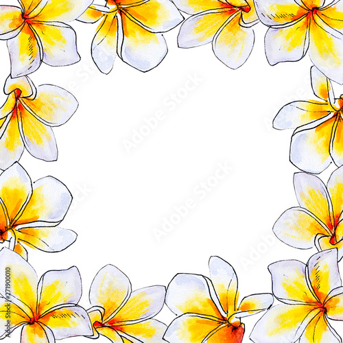 Beautiful white plumeria frame. Frangipani. Watercolor painting. Exotic plant...