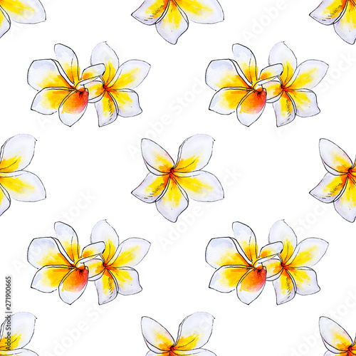 Seamless pattern from white plumeria flowers. Frangipani. Watercolor painting...