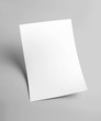 White blank document paper template with grey background