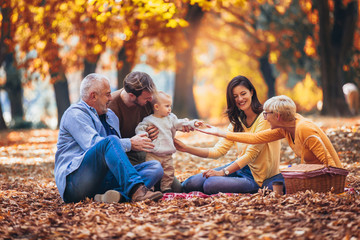 Wall Mural - Multl generation family in autumn park having fun