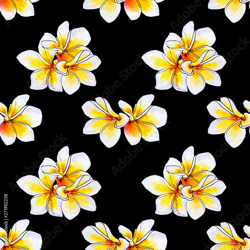 Seamless pattern from white plumeria flowers. Frangipani. Watercolor painting...