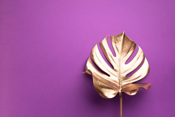 Wall Mural - Golden tropical monstera leaf on violet background with copy space. Top view. Flat lay. Creative layout. Exotic summer concept in minimal style