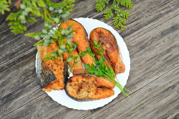 salmon steak with parsley leaves on a wooden table during a picnic in nature