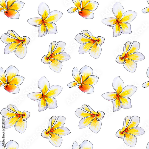 Seamless pattern from white plumeria flowers. Frangipani. Watercolor painting...