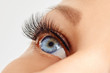 © Olesia - Female eye with extreme long false eye lashes. Eyelash extensions, make-up, cosmetics, beauty
