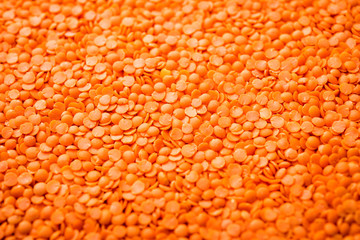 Canvas Print - Red Lentil or Lal Masoor ki dal in a bowl, selective focus