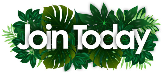 Join today word and green tropical’s leaves background