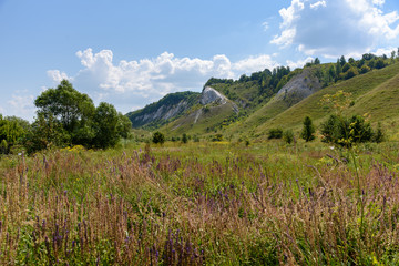 Wall Mural - Flowers in a meadow near the chalk mountains in the Voronezh region, Russia