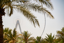 View Of Dubai Eye Ferris Wheel On Blue Waters Island On A Hot Summer Day