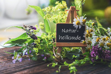Schild: Naturheilkunde-auf Staffelei Mit Verschiedenen Heilpflanzen Dekoriert