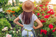 Young Woman Admiring Her Summer Garden. Gardener In Apron And Hat Looking At Flowers
