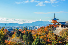 A Stunning Panoramic View Of The Kyoto City With The Colourful Maple Tree Leaves And The Pagoda At The Foreground At Kiyomizu-dera.
