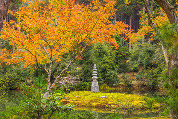 Wall Mural - Beautiful autumn foliage garden at Kinkakuji temple in Kyoto, Japan