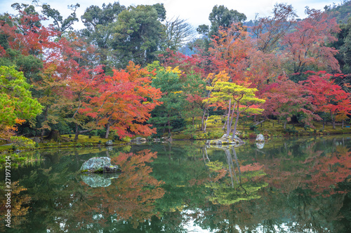 Beautiful autumn foliage garden at Kinkakuji temple in Kyoto, Japan Tableau sur Toile