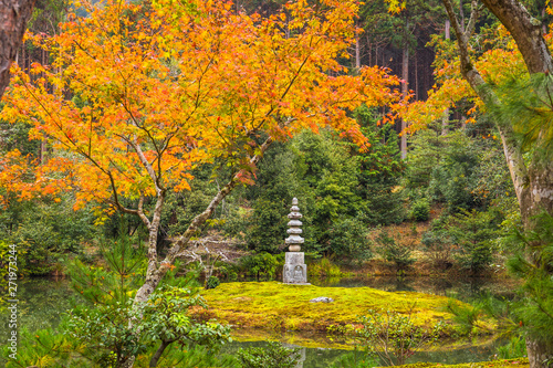 Photographie Beautiful autumn foliage garden at Kinkakuji temple in Kyoto, Japan