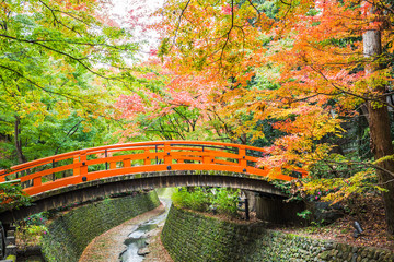 Wall Mural - Every year on November to mid December, Kitano Tenmangu will open its garden to the public during the peak of the autumn leaf season.